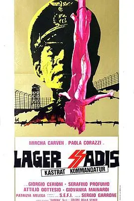 《纳粹军妓血泪史》：黑暗年代的禁忌之恋与人性炼狱，真实控诉不容遗忘的历史伤痛